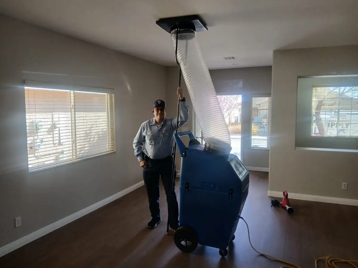 Professional Dryer Vent Cleaning work inside a Niles home